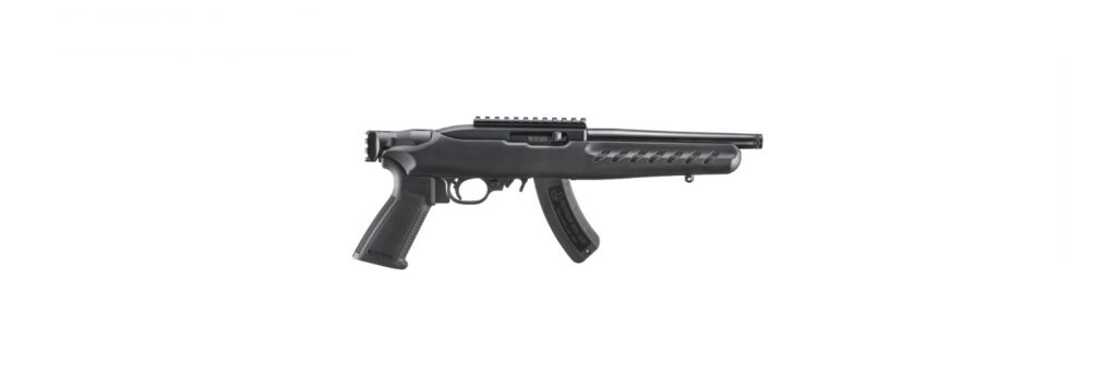 Ruger 22 Charger 22 LR 33100